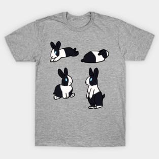 Fun Bun— Dutch Bunny T-Shirt